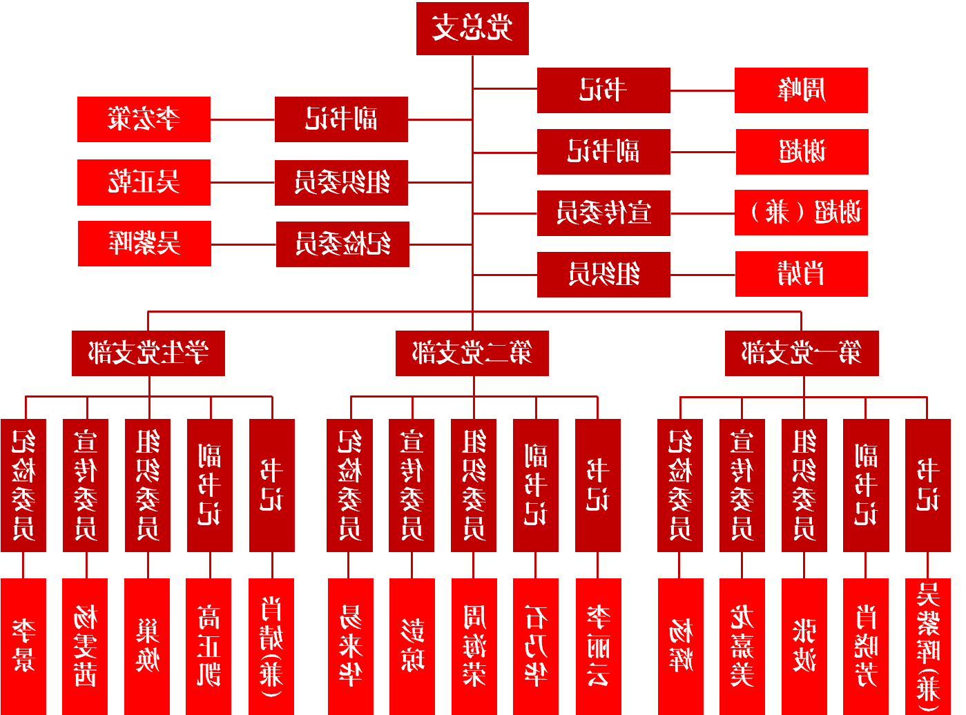 党组织结构